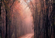 AG旗舰厅官方网站:阿特金森稱贊梅裏爾為本場比賽的明星 他的三分投籃鼓舞了我們.