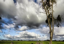 AG旗舰厅:青島媒體:梅西效應致青春足球場附近酒店價漲雙倍.